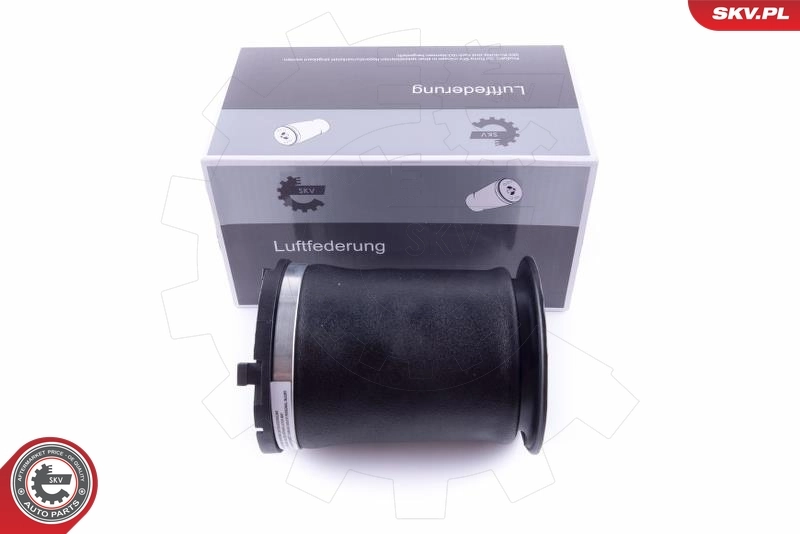 Air Spring, suspension